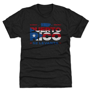 Puerto Rico Men's Premium T-Shirt | 500 LEVEL